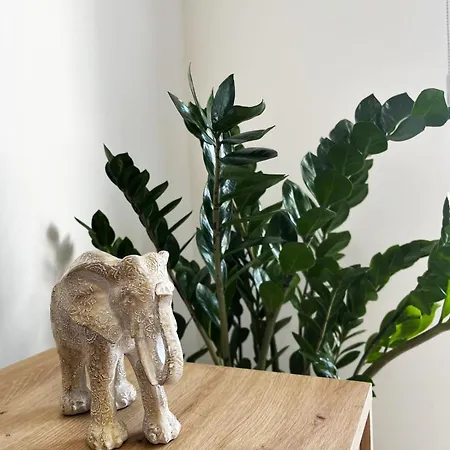 Apartment Unlock The Island - Local Insights For Your Larnaca