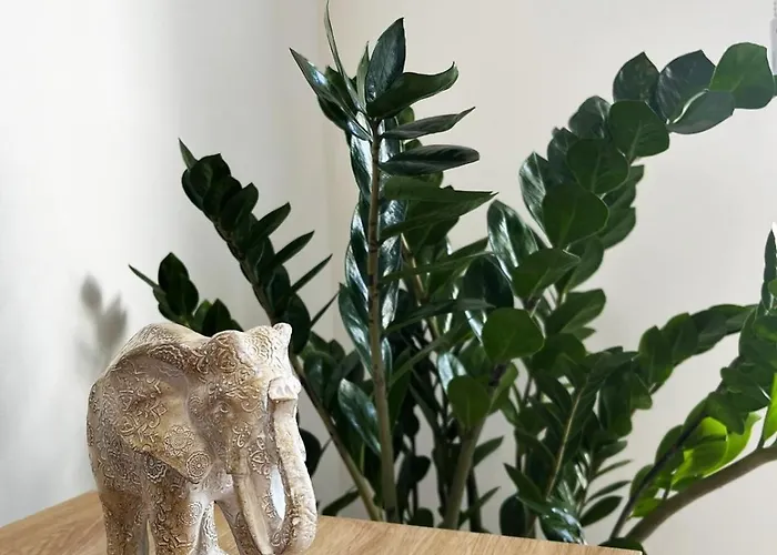 Apartamento Unlock The Island - Local Insights For Your Larnaca